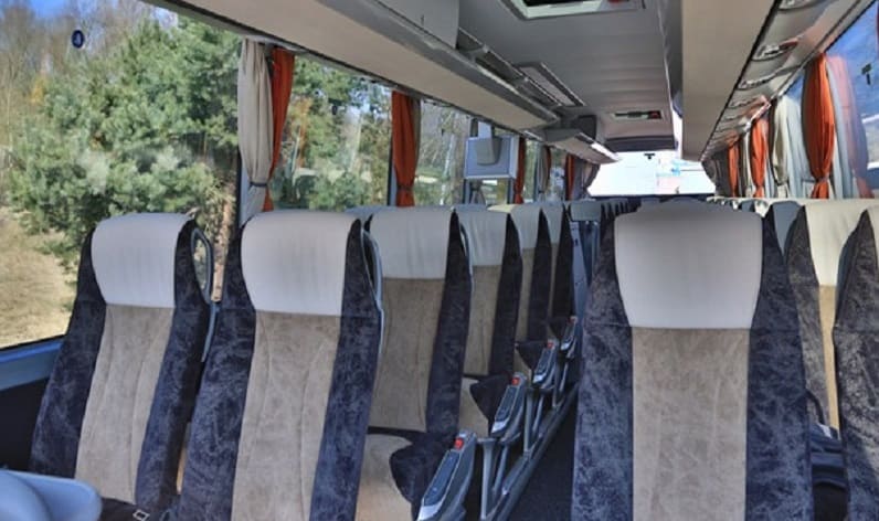 Germany: Coach hire in Baden-Württemberg, Calw